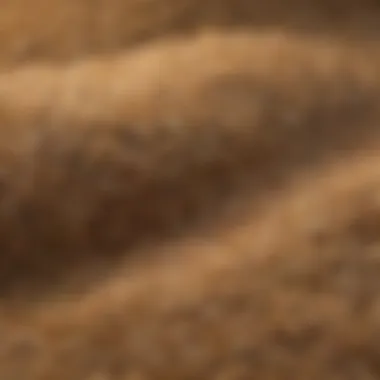 A close-up view of grain being cleaned, highlighting the textures and colors.