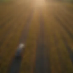 Aerial view of vibrant agricultural land