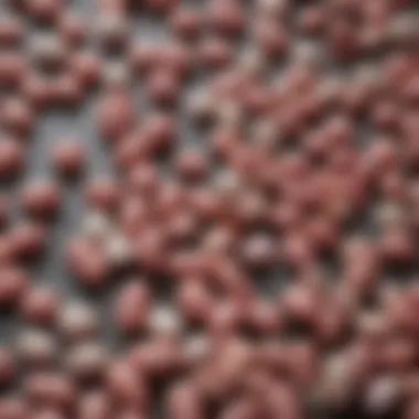 Active Ingredients in Heartworm Pills Close-up of active ingredients listed on a heartworm pill package