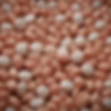 Diverse Heartworm Pill Brands A variety of heartworm pills arranged elegantly on a pet-themed background
