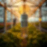 The Role of Heating Bulbs in Greenhouse Environments Modern heating bulb illuminating a greenhouse