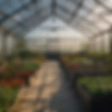 A comparison of different greenhouse types available