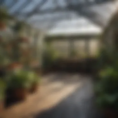 Innovative Hobby Greenhouse Design A modern hobby greenhouse showcasing innovative design