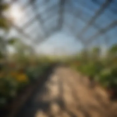Sustainable Greenhouse Materials Sustainable materials used in greenhouse construction