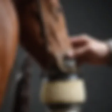 An equine professional applying hoof packing to a horse's hoof