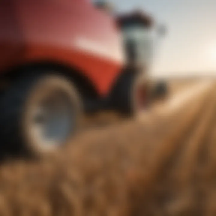 Harvesting wheat using modern techniques