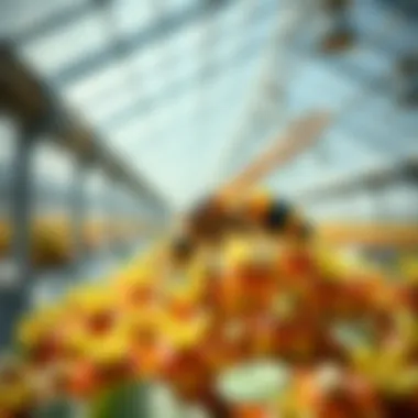 Empowering Growth: The Role of Beneficial Insects Beneficial insects aiding pest control