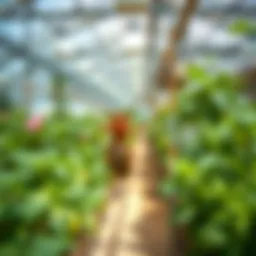 Natural predators in a greenhouse ecosystem