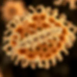 A microscopic view of Escherichia coli showcasing its distinctive rod shape and cellular structure