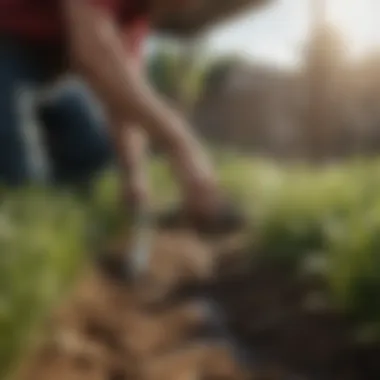 Visual representation of irrigation tape maintenance