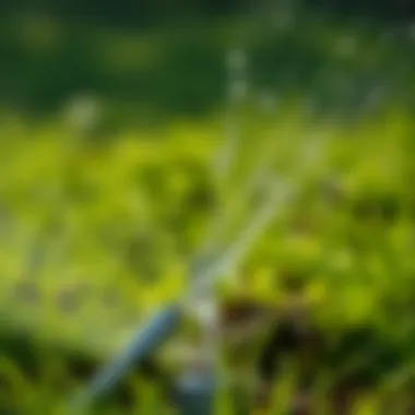 Eco-Friendly Thatch Removal Solutions Eco-friendly liquid solution used for thatch removal