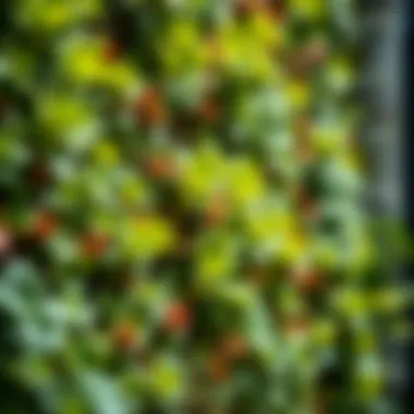 Vibrant Plants in a Living Wall Close-up of plants thriving in a living wall environment