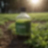 Nutrient-rich composition of Maxicrop liquid fertilizer