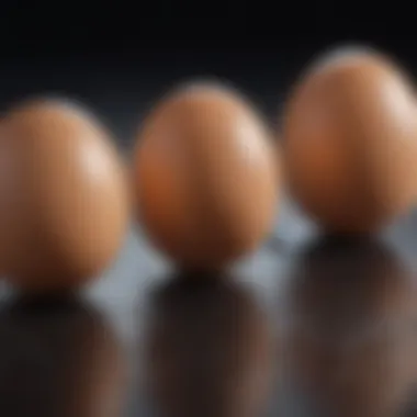 Comparison of traditional and modern methods for assessing egg fertility