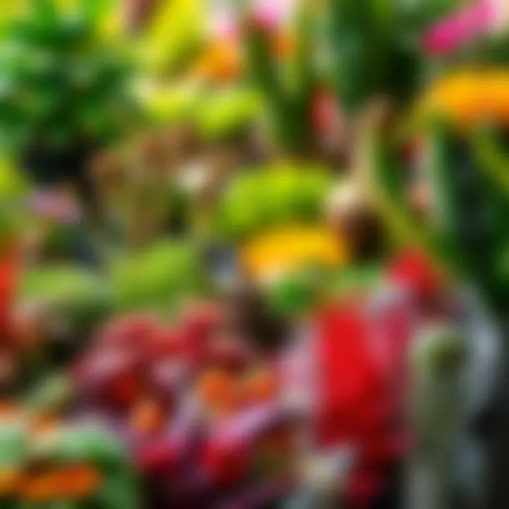 A diverse array of plant species arranged in a vibrant horticultural display