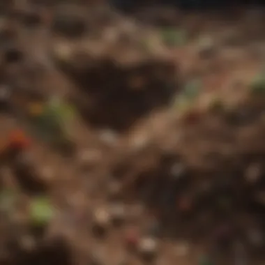 Close-up of healthy soil with diverse microorganisms