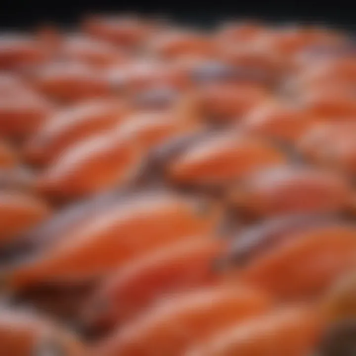 A close-up of fatty fish, rich in omega-3 fatty acids, essential for brain health.