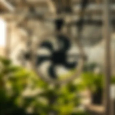 Maintaining Humidity Levels Effectively Humidity management using oscillating fans in cultivation