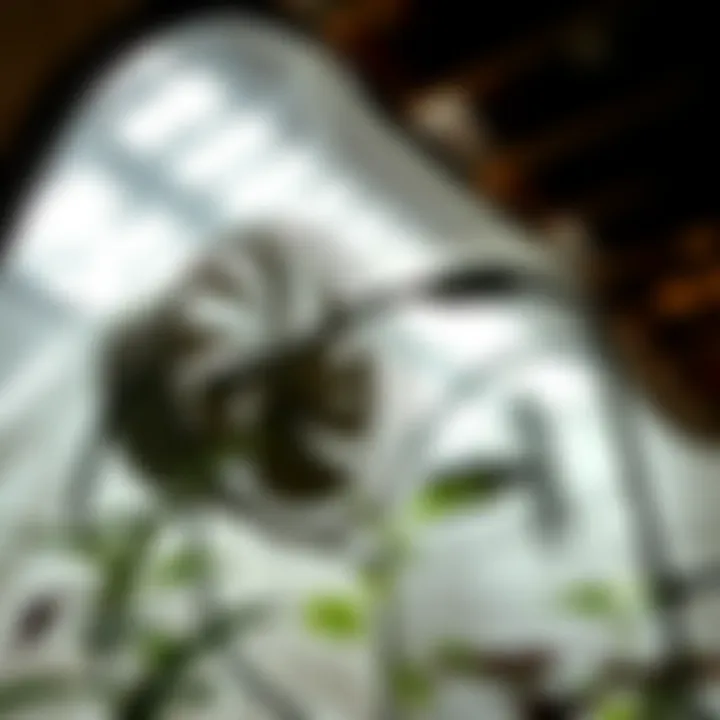 Practical Fan Integration in Grow Tents Integrating fans into various grow tent setups