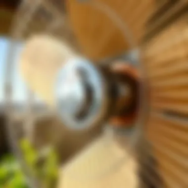 Motor Mechanism of an Oscillating Wall Fan Close-up of the motor mechanism of a wall fan