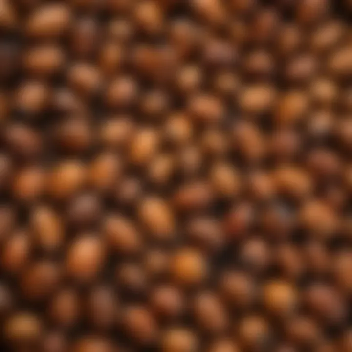 A close-up view of palm kernels on a rustic wooden surface