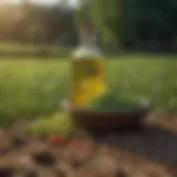 An overview of Pasture Pro Plus formulation ingredients