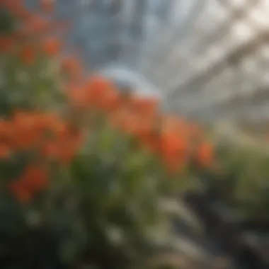 Diverse Pollinators in Greenhouse Diverse pollinators interacting with flowering plants in a controlled greenhouse setting
