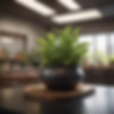 Sustainability initiatives displayed at Rooms to Go headquarters