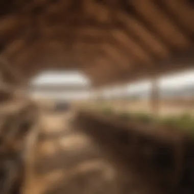 Community Agricultural Activities in Modern Sand Creek Barns Modern Sand Creek barn in use for community agricultural activities