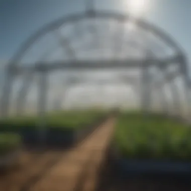 A modern greenhouse showcasing advanced shelter technology for crop growth