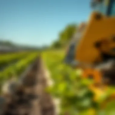 Enhancing Productivity with Skid Steer Nursery Jaws A demonstration of skid steer nursery jaws enhancing productivity in a nursery