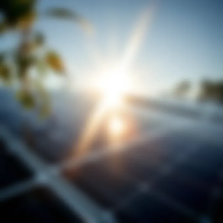 Harnessing Solar Power for Sustainability A close-up of solar panels reflecting sunlight.