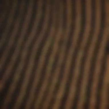 Diverse crops in a rotating field
