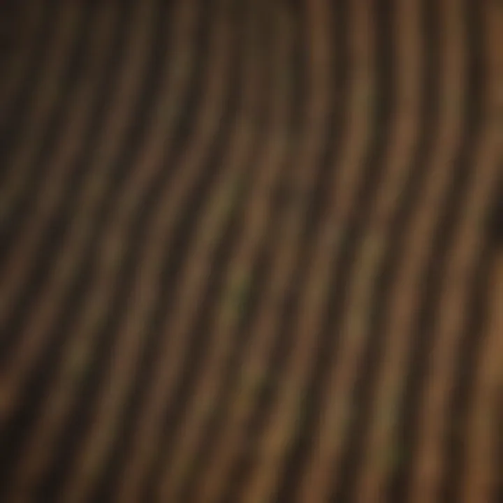 Diverse crops in a rotating field