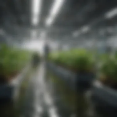Advanced Environmental Control in Hydroponics An advanced environmental control system for hydroponics.