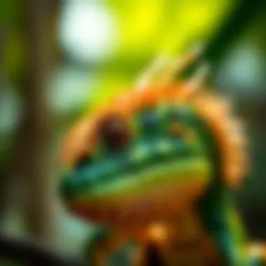 Exotic Species of the Amazon Close-up of an exotic species found in the Amazon Rainforest.