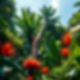 Vibrant Canopy of the Amazon A vibrant canopy of the Amazon Rainforest showcasing diverse flora.