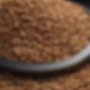 Exploring Diverse Animal Feed Products Diverse animal feed products on display