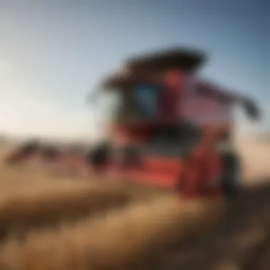 Modern combine harvester in a cornfield