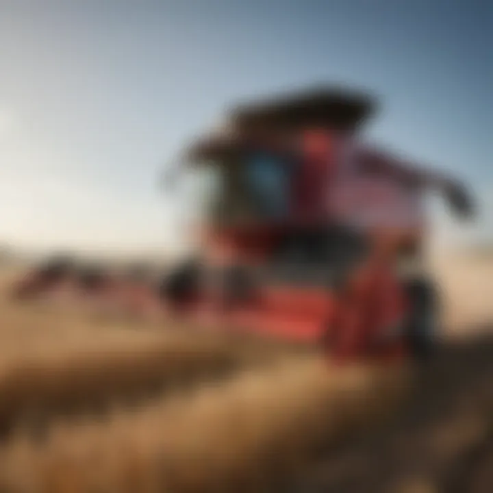 Modern combine harvester in a cornfield