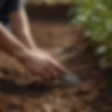 Close-up of a hand using a trowel in rich soil