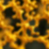 Microscopic view of aflatoxin molecules