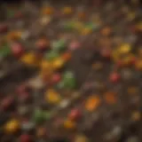 Colorful array of compost materials