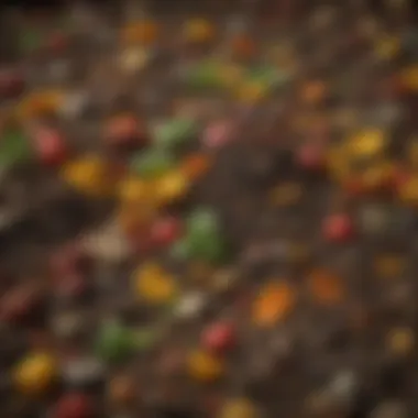 A Diverse Range of Compost Ingredients Colorful array of compost materials
