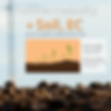 Nutrient Availability and Soil EC Illustration of nutrient availability related to soil EC levels