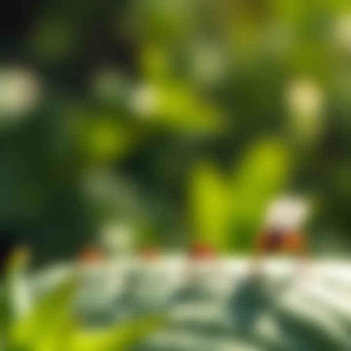 Effectiveness Comparison of Flit Bug Spray Against Various Pests Comparative effectiveness of Flit against pests