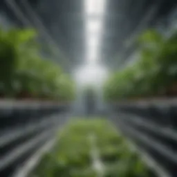 Hydroponic system showcasing nutrient-rich water