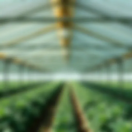 Understanding Greenhouse Shade Cover: Importance, Types, and Applications Introduction
