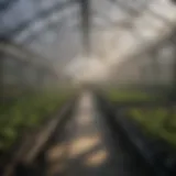 Overview of a greenhouse showcasing various vent systems