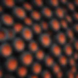 Different types of Kubota tractor tires showcasing treads